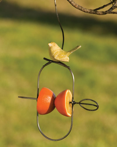 Hanging Bird Fruit Spear
