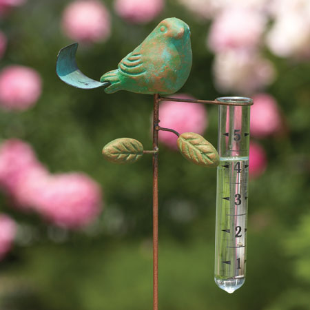 Teal Rain Bird Gauge