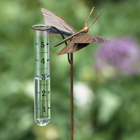 Butterfly Rain Gauge